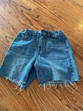 Pacsun Vintage Style Frayed Hem Denim Shorts - Blue